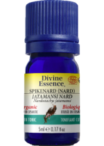 Spikenard Oil (Nard, Organic) - 5ml
