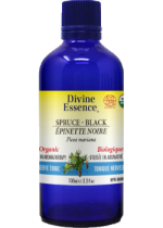 Spruce Oil (Black, Organic) - 100ml
