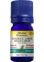 Tamarack Oil (Larch, Organic) - 5ml