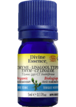 Thyme Oil (Linalool, Organic) - 5ml