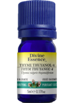 Thyme Oil (Thuyanol-4) - 5ml
