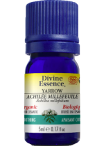 Yarrow Oil (Organic) - 5ml