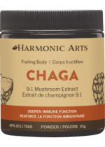 Chaga Concentrated Mushroom Powder - 45g