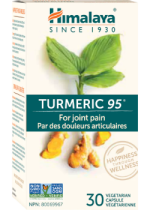 Turmeric 95 - 30 V-Caps