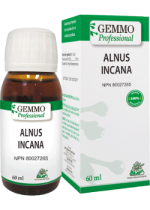 Alnus Incana (Gemmo) - 60ml