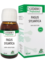 Fagus Sylvatica (Gemmo) - 60ml
