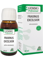 Fraxinus Excelsior (Gemmo) - 60ml