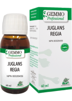 Juglans Regia (Gemmo) - 60ml