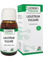 Ligustrum Vulgare (Gemmo) - 60ml