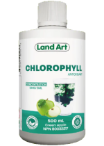 Chlorophyll (Green Apple) - 500ml