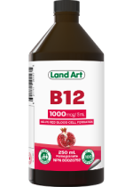 Vitamin B-12 (Pomegranate) - 250ml