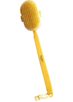 Back Brush (Wood) - 1 Brush
