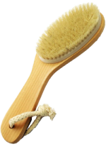 Natural Bristle Body Brush (Wood) - 1 Brush