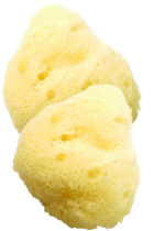 Sea Sponge (Cosmetic) - 2 Sponges