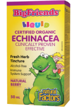 Big Friends Echinacea Fresh Herb Tincture (Natural Berry) - 50ml 