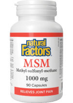 MSM 1,000mg - 90 Caps