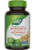 Astragalus Root 470mg - 100 Caps