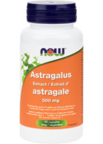 Astragalus Extract 4:1 500mg (2,000mg Equivalent) - 90 V-Caps