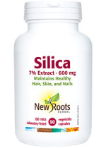 Silica 600mg - 90 V-Caps