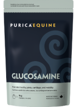 Pet Pure Glucosamine Powder (Vegan) - 1kg