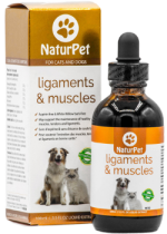 Ligaments & Muscles - 100ml