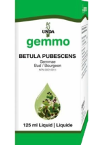 Gemmo Betula Pubescens - 125ml