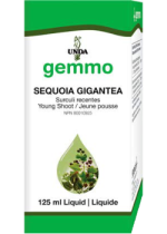 Gemmo Sequoia Gigantea (Young Shoot) - 125ml