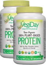 Vegiday Raw Organic Protein (Unflavoured) - 840 + 840g