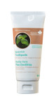 Toothpaste (Spearmint) - 90ml