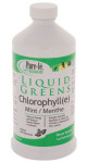 Chlorophyll (Mint) - 450ml
