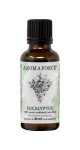 EO Eucalyptus - 30ml