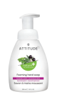 Foaming Hand Soap (Coriander & Olive) - 295ml