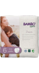 Dream Baby Diapers (Size 6) - 24 Diapers