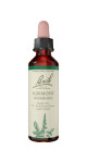 Agrimony - 20ml