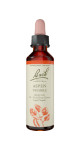 Aspen - 20ml