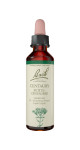 Centaury - 20ml