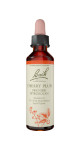Cherry Plum - 20ml