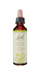 Clematis - 20ml
