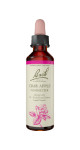 Crab Apple - 20ml