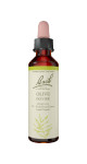 Olive - 20ml