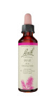 Pine - 20ml