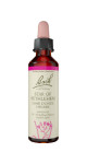 Star Of Bethlehem - 20ml