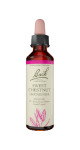 Sweet Chestnut - 20ml