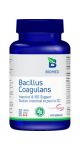 Bacillus Coagulans - 90 Caps