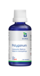 Polygonum - 50ml