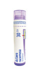 Actaea Racemosa 30C - 80 Pellets