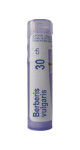 Berberis Vulgaris 30C - 80 Pellets