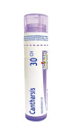 Cantharis 30C - 80 Pellets