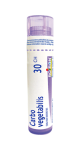 Carbo Vegetabilis 30C - 80 Pellets
