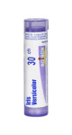 Iris Versicolor 30C - 80 Pellets